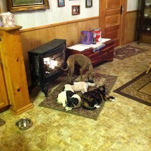 Meet your Posher, Benny